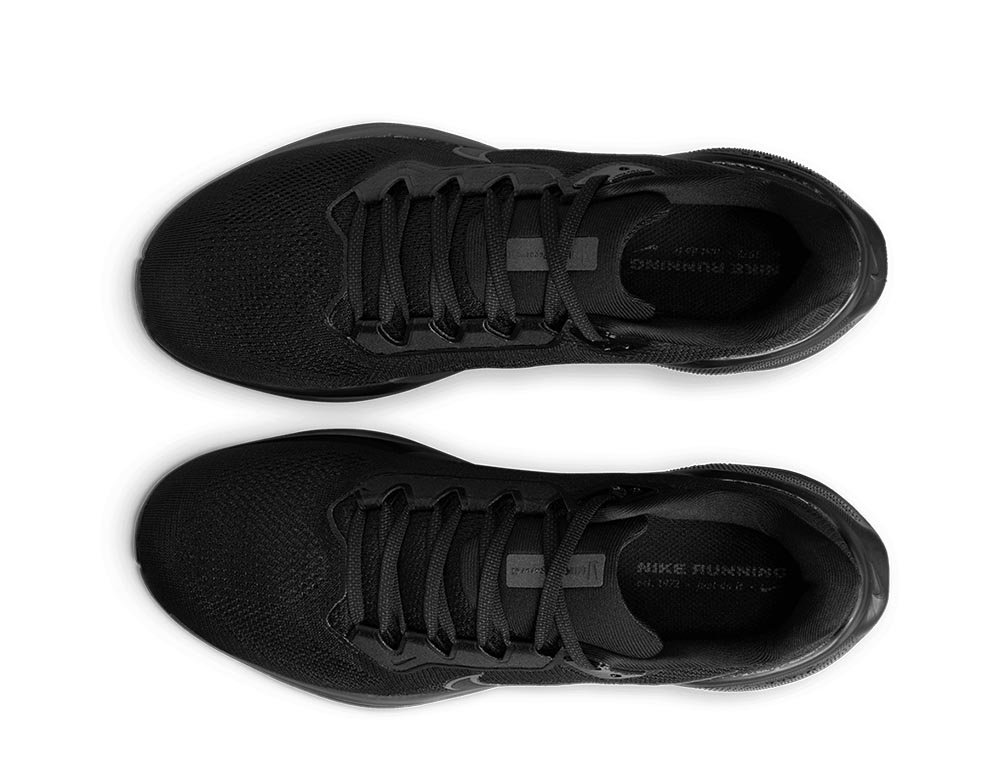 Nike Pegasus 41 M Black Shoes