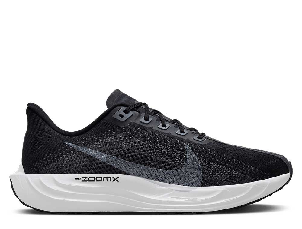 Nike Pegasus Plus M Shoes Black/Grey