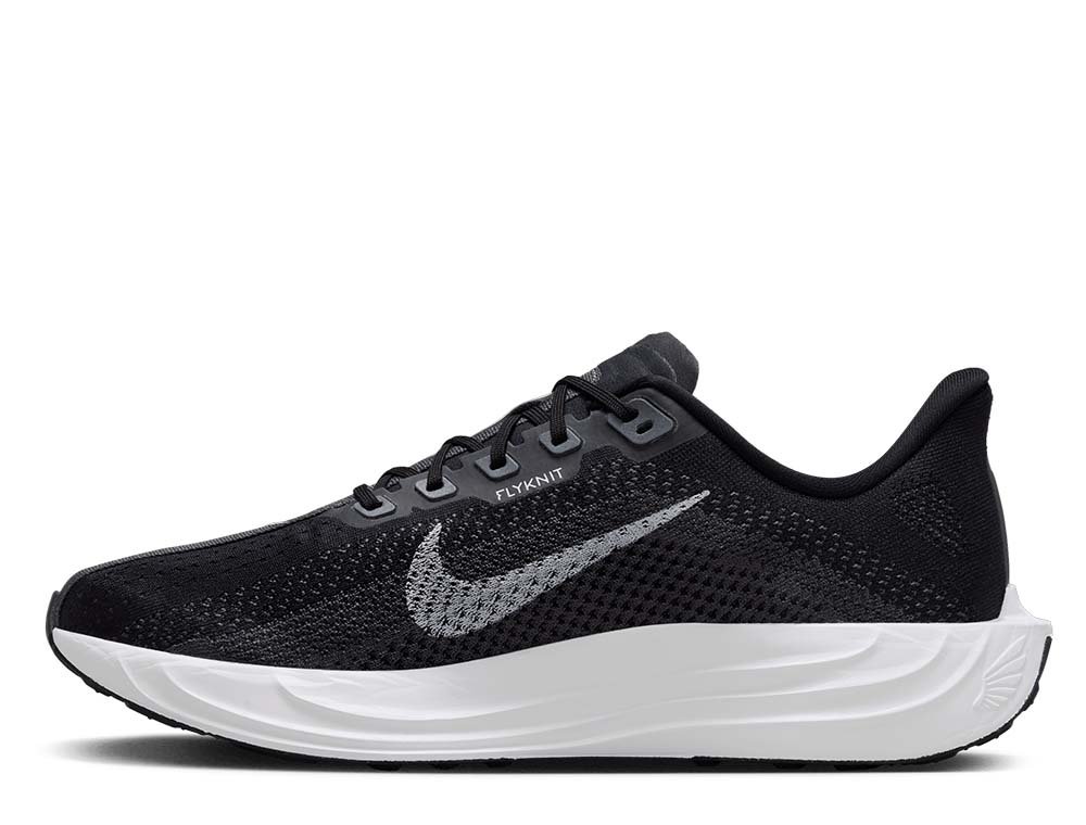 Nike Pegasus Plus M Shoes Black/Grey