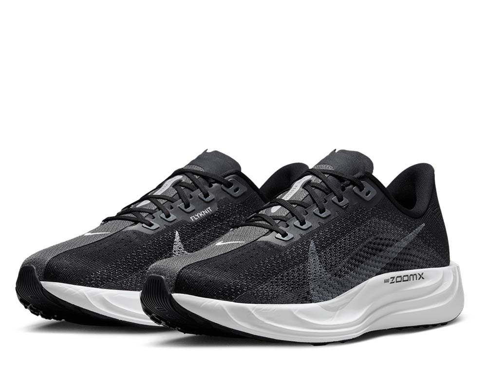 Nike Pegasus Plus M Shoes Black/Grey
