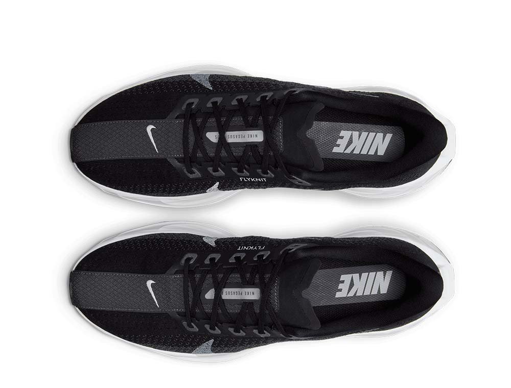 Nike Pegasus Plus M Shoes Black/Grey