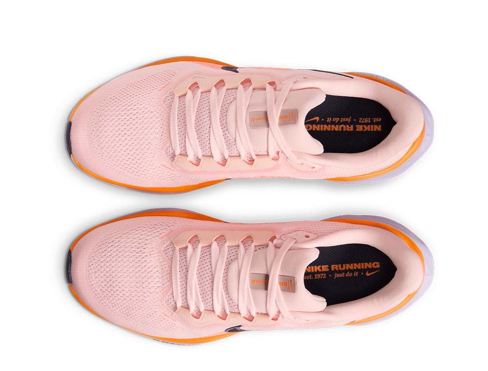 Nike Pegasus 41 W Pink and Purple Shoes