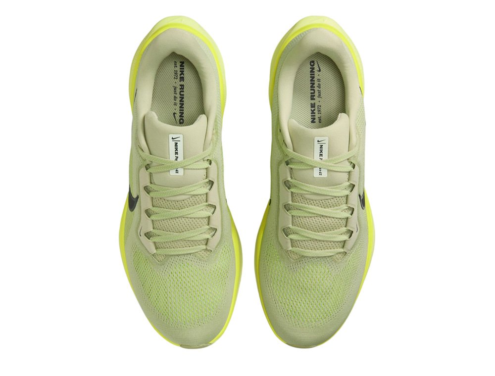 Nike Pegasus 41M Shoes Green
