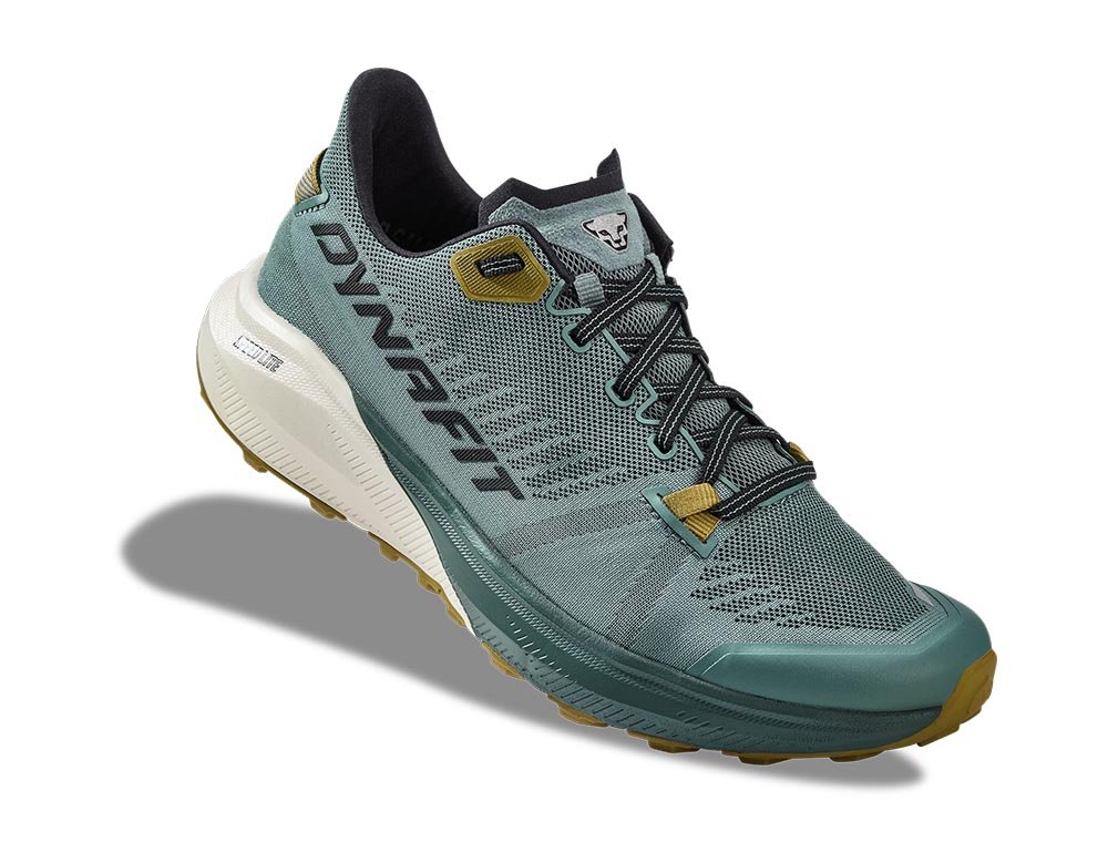 Pantofi Dynafit Trail Atlantic Black Out M Albastru-Verde