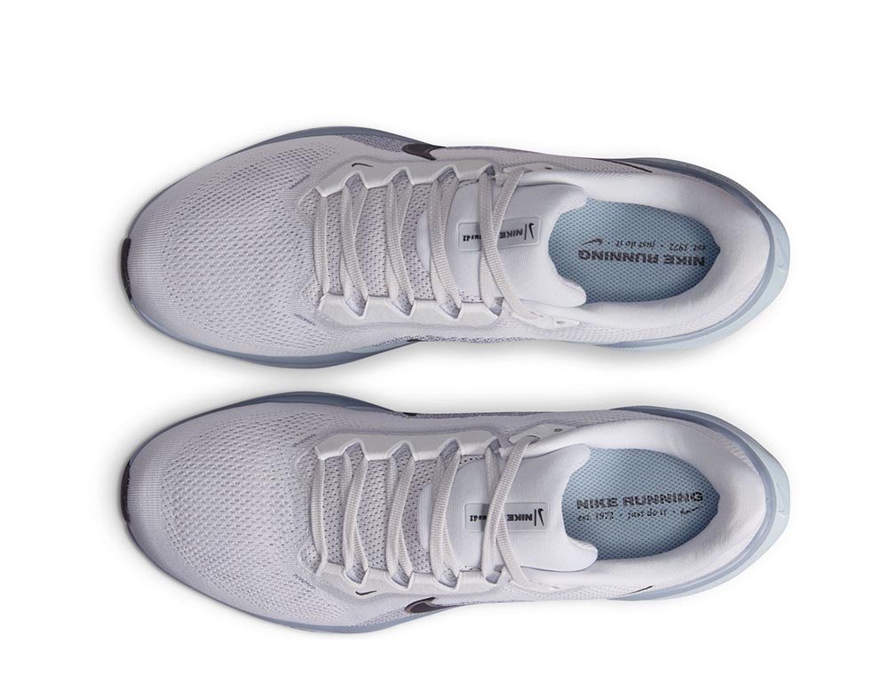 Nike Pegasus 41 M White and Blue Shoes