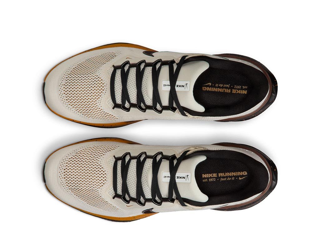 Buty Nike Pegasus 41 M Kremowo-Brązowe