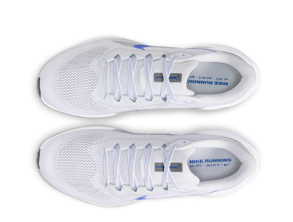 Buty Nike Pegasus 41 M Biało-Niebieskie