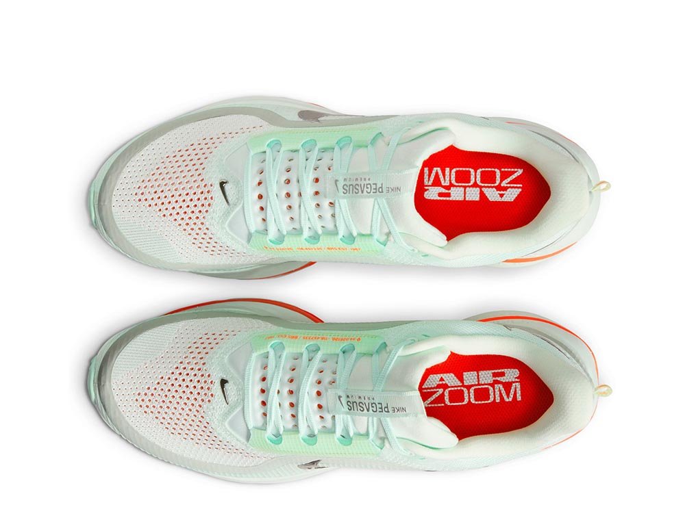 Buty Nike Pegasus Premium M Miętowe