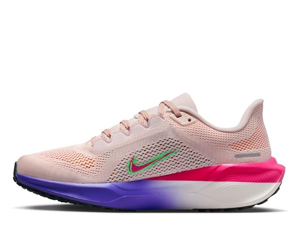Nike Pegasus 41 Eliud Kipchoge shoes in Multicolor