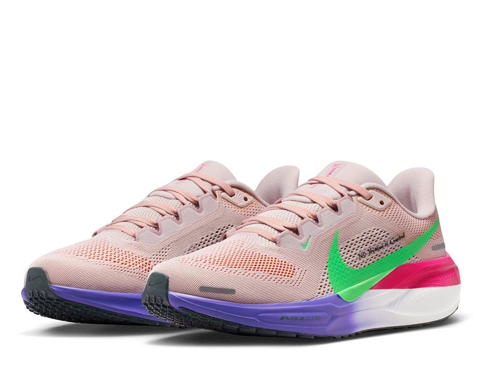 Nike Pegasus 41 Eliud Kipchoge shoes in Multicolor