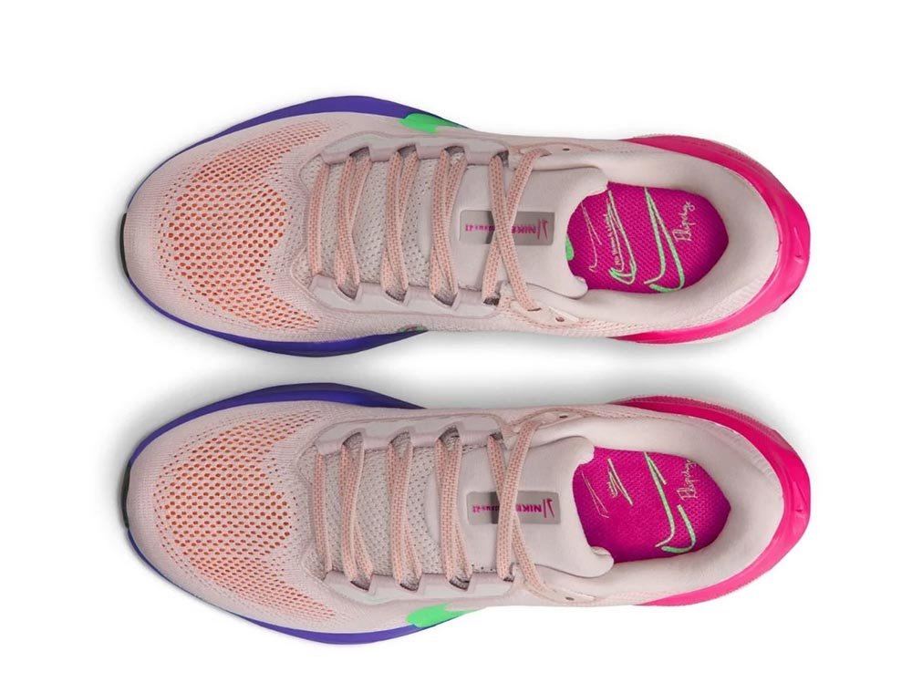 Nike Pegasus 41 Eliud Kipchoge shoes in Multicolor