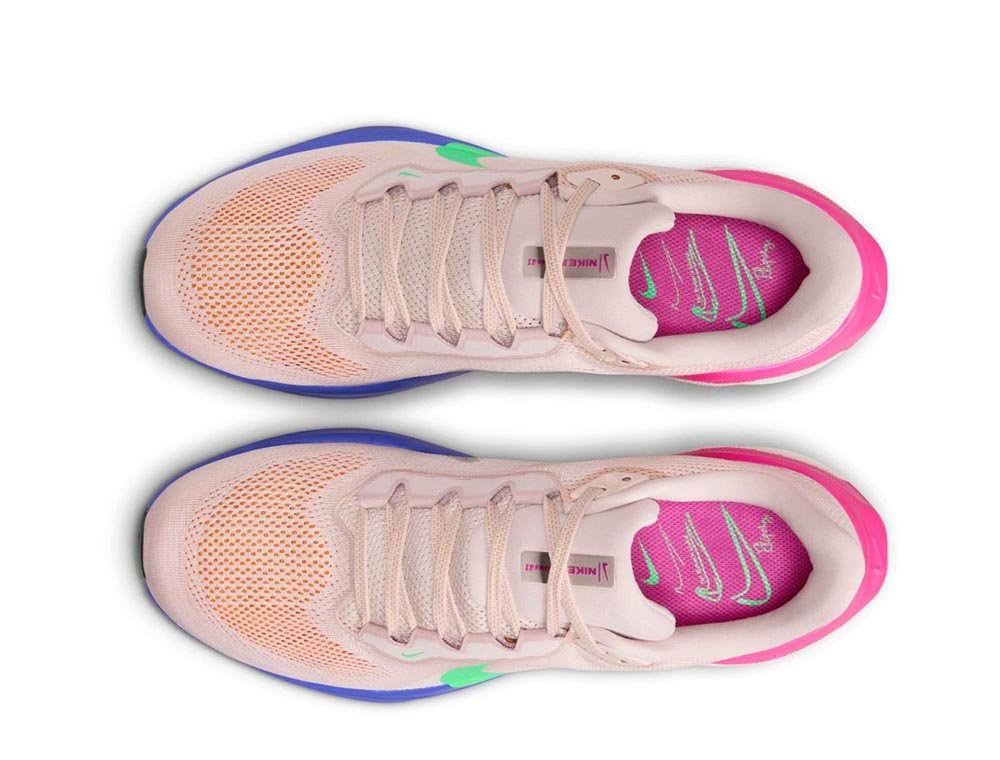 Nike Pegasus 41 Eliud Kipchoge M Multicolor shoes