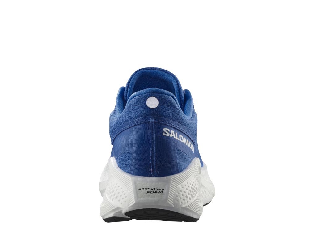 Pantofi Salomon Aero Glide 3 M Albastru-Alb