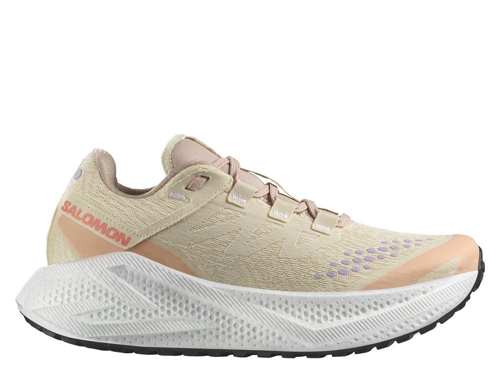 Pantofi Salomon Aero Glide 3 GRVL W bej-verde