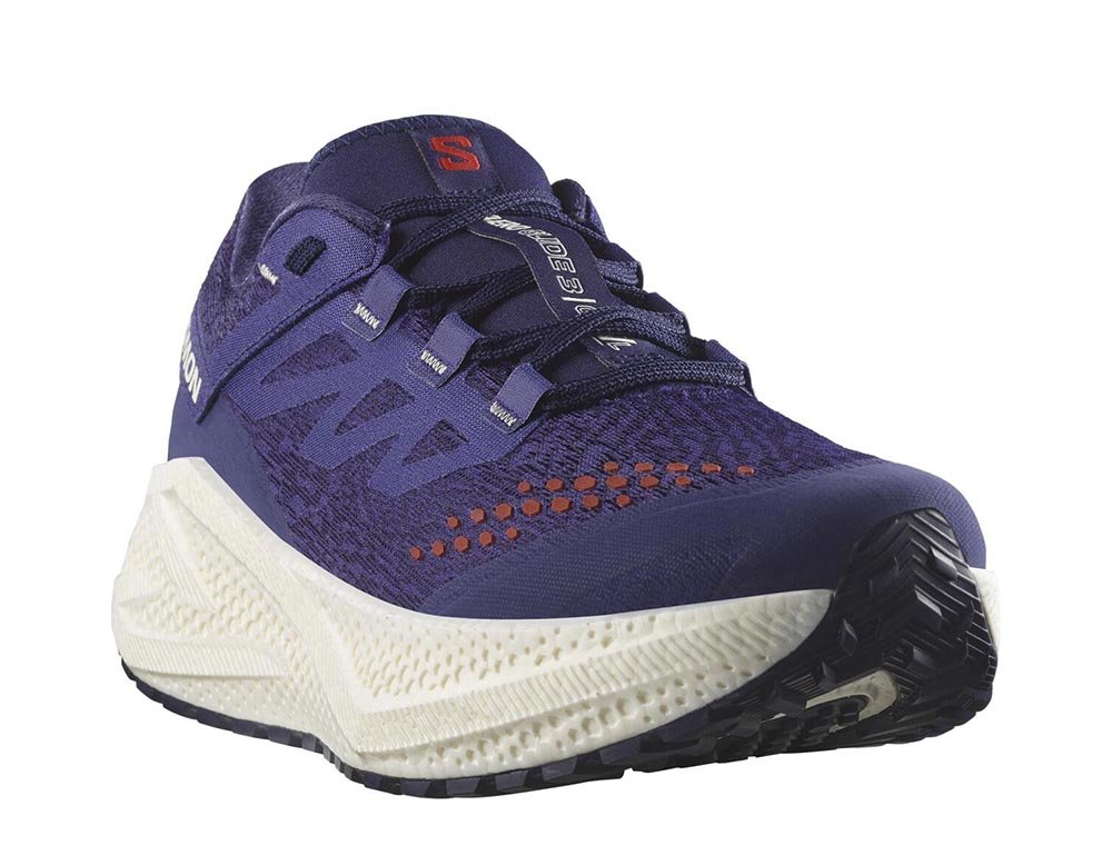 Salomon Aero Glide 3 GRVL M Purple Shoes
