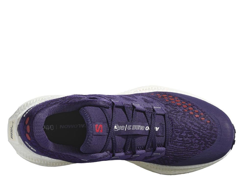 Salomon Aero Glide 3 GRVL M Purple Shoes