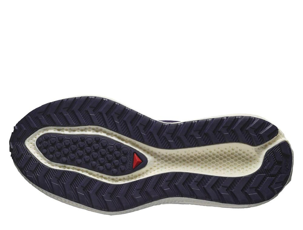 Pantofi sport Salomon Aero Glide 3 GRVL W violet