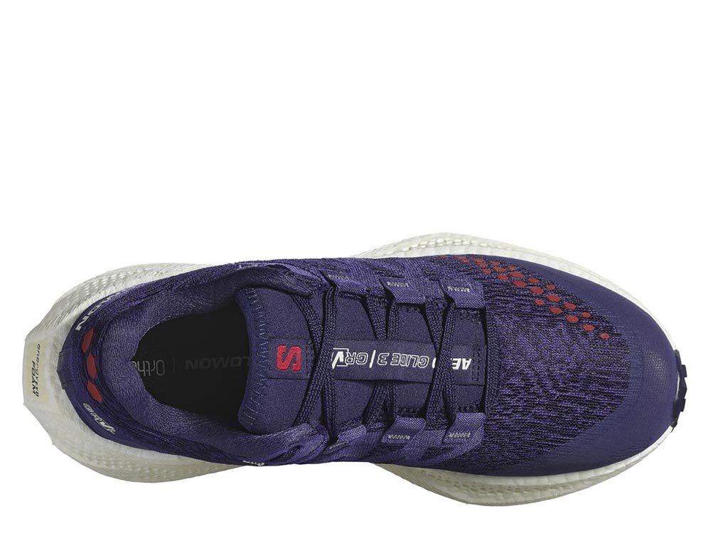 Pantofi sport Salomon Aero Glide 3 GRVL W violet