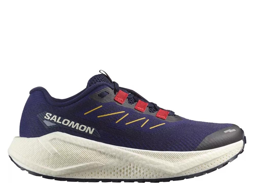 Salomon Aero Blaze 3 GRVL M Shoes Navy-Purple
