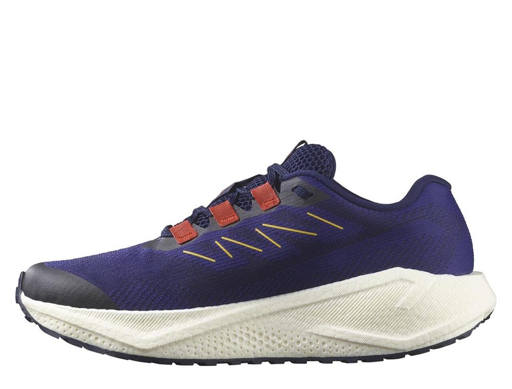 Salomon Aero Blaze 3 GRVL M Shoes Navy-Purple