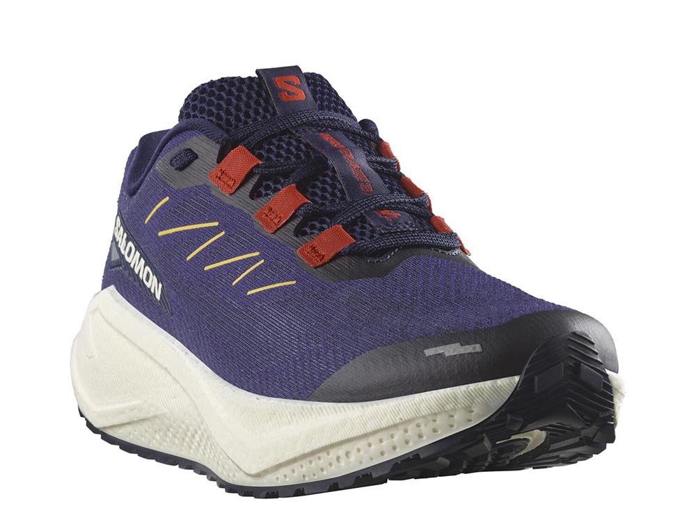 Salomon Aero Blaze 3 GRVL M Shoes Navy-Purple