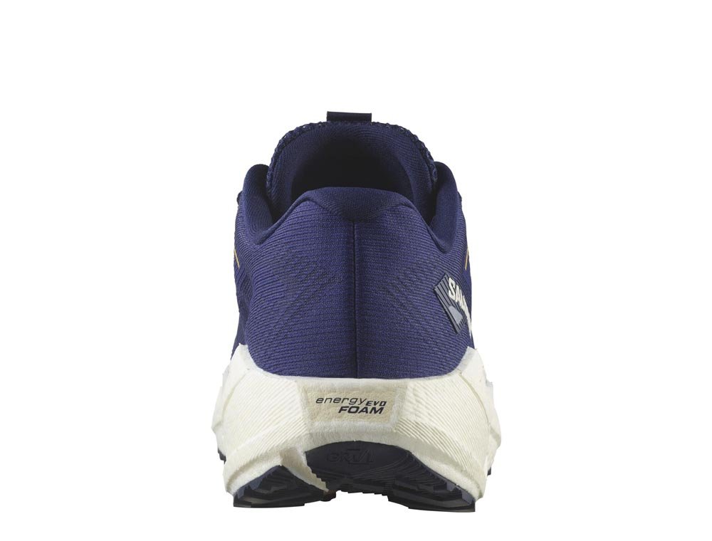 Salomon Aero Blaze 3 GRVL M Shoes Navy-Purple