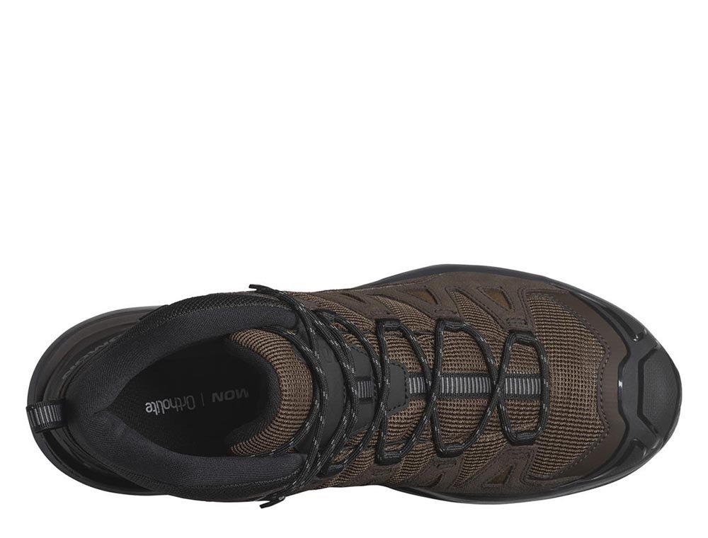 Salomon X Ultra 360 Leather Mid Gore-Tex M Brown-Black Shoes