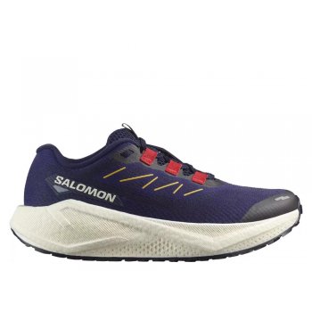 salomon aero blaze 3 grvl m shoes navy-purple