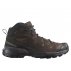 Salomon X Ultra 360 Leather Mid Gore-Tex M Brown-Black Shoes